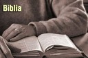 Citind Biblia