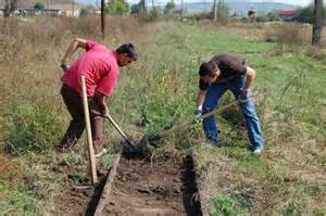Calea ingusta pentru mocanite CFR