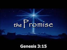 The Promise