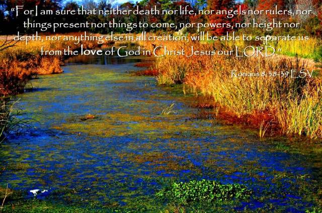 romans-8-38-39
