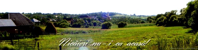 Baita-de-sub-Codru-acasa