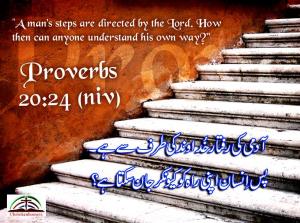Prov 20 24
