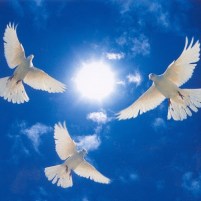 Totul pentru Gloria Lui