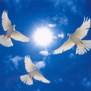 Totul pentru Gloria Lui