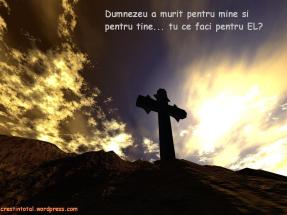 www-crestintotal-ro-212