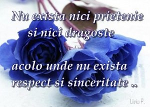 sinceritate-17_cbc3ad02588b02