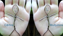 Mulțumire vs Nemulțumire