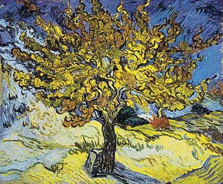 blog-pic-parable-of-the-mustard-seed