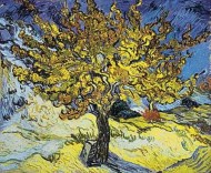 blog-pic-parable-of-the-mustard-seed