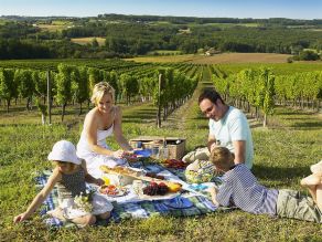 family-enjoying-a-picnic_base1