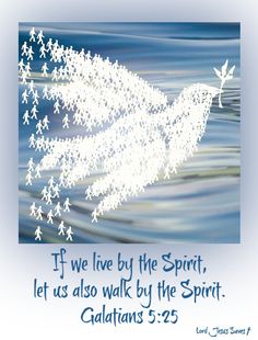 10780e5fee090687e5cd451ae821a8c5