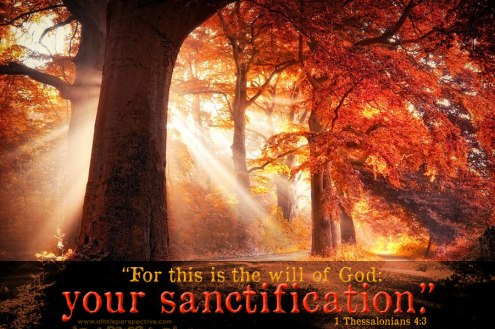 1-the-4-3-web-watermarked