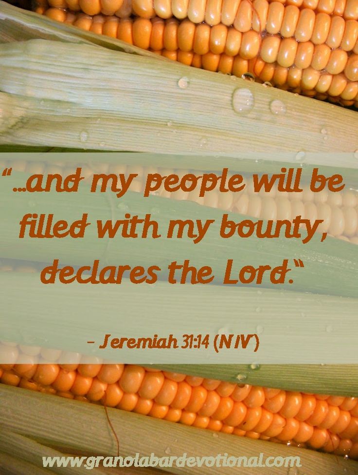 973f93346675350663e758be2d6892d0