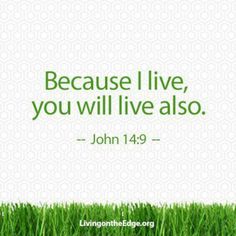 eaf9478d4ec75c63b9b51dcc5667ceff