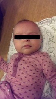 11541191_10153325681007295_568235655_n