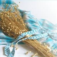 Biblia--un-adevarat-manual-de-sanatate