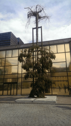 art-an-upside-down-tree