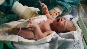 IMG_sy724099.jpg_1_1_SD305M12