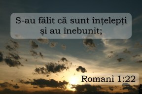 mandria-conduce-la_7c7faffb923a43