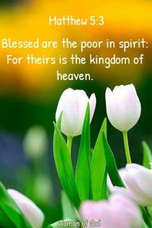 e515e5ccd01d5fb5e91d9a1526c22f0a