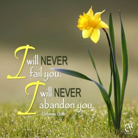 e97d70b8f5f2832f9c9228949f458981