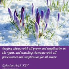 Efeseni 6 18