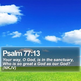 21460546491_803ee5c240