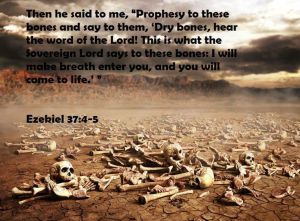 41a2d80537e75ea47d8cf9ef0e60a3ad