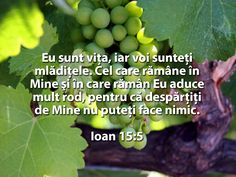 7cea2bc2adab5c688d833c4710e7c51d