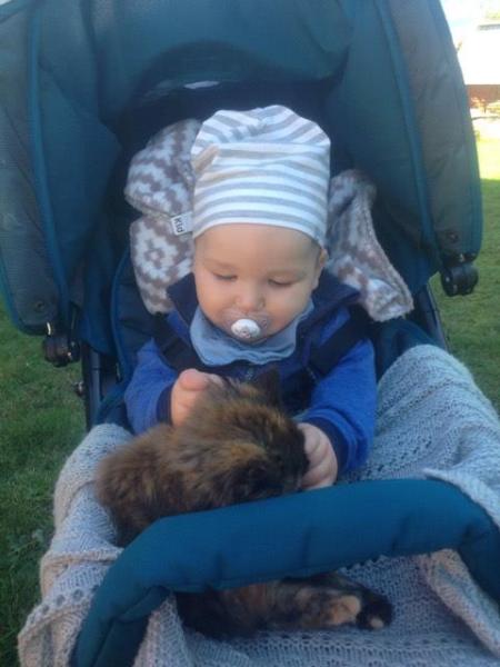 caspian-home-9-12-2016-1