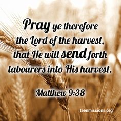 75ebb78f2d372e21e73a7c2babccc488