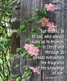 caaa0a98f1e55f6940efef950beeeb6e